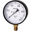 Pressure Gauge General-purpose S-31-1MPa