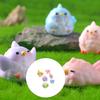 Set of 6 Cartoon Parrot Resins Figurine Miniature Garden Ornaments Cute Home Desk Decors Gift For Kids Nature Lover
