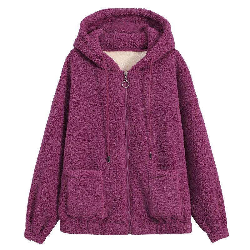 Women's Six-Color Teddy Fleece Hoodie: Korean Style, Plus-Size, Thick Autumn/Winter Cardigan