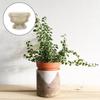 Пластиковая форма для бетонного цветочного горшка для украшения сада, формы для цветочных горшков, форма для горшка для бонсай, форма для эпоксидной смолы, декор