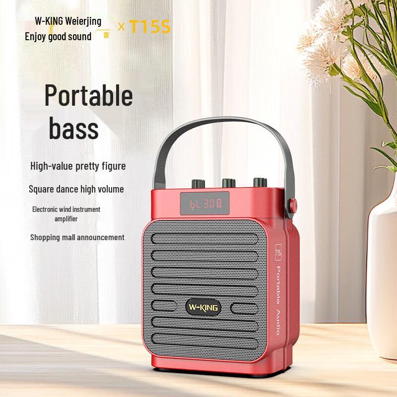 Портативная Bluetooth-колонка W-King T15S (Китайская версия)