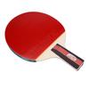 2dc horizontal grip racket