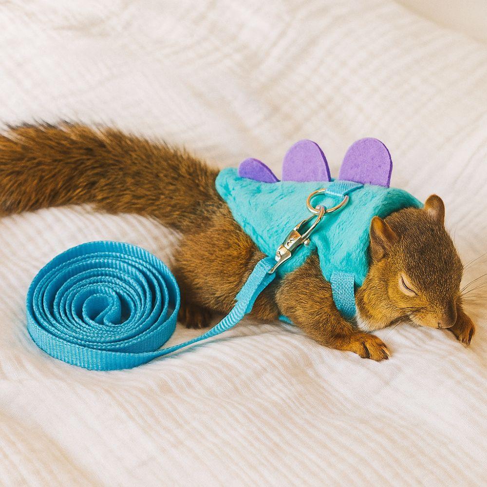 Cartoon Ferret Vest Harness Dragon Design Adjustable Hamster Chest Strap Flannel with Bell Guinea Pig Safety Vest Walking