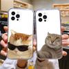 Милый Забавный Чехол для Телефона с Кошкой и Собакой для iPhone Apple 15,14,13,12,Mini,11,Pro,Max,Plus,X,XR,XS,8,SE,2020,Plus Прозрачный Чехол