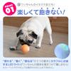Nekogakudo Wicked Ball Dog Toy, Moving Ball, Electric, Durable, Exercise Relief, 24th Edition, Dog's Mischievous Friend (Orange)