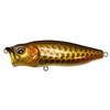 Megabass Bass Lure POPMAX Dragon Fish G (SP-C)