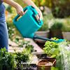 Watering Can Large Capacity Water Sprayer for Indoor and Outdoor Plant Care Plastic Construction Home Gardening Tool