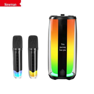Портативная Bluetooth-караоке-колонка Newmine K19 с двумя микрофонами, штепсель CN (адаптер в комплекте)