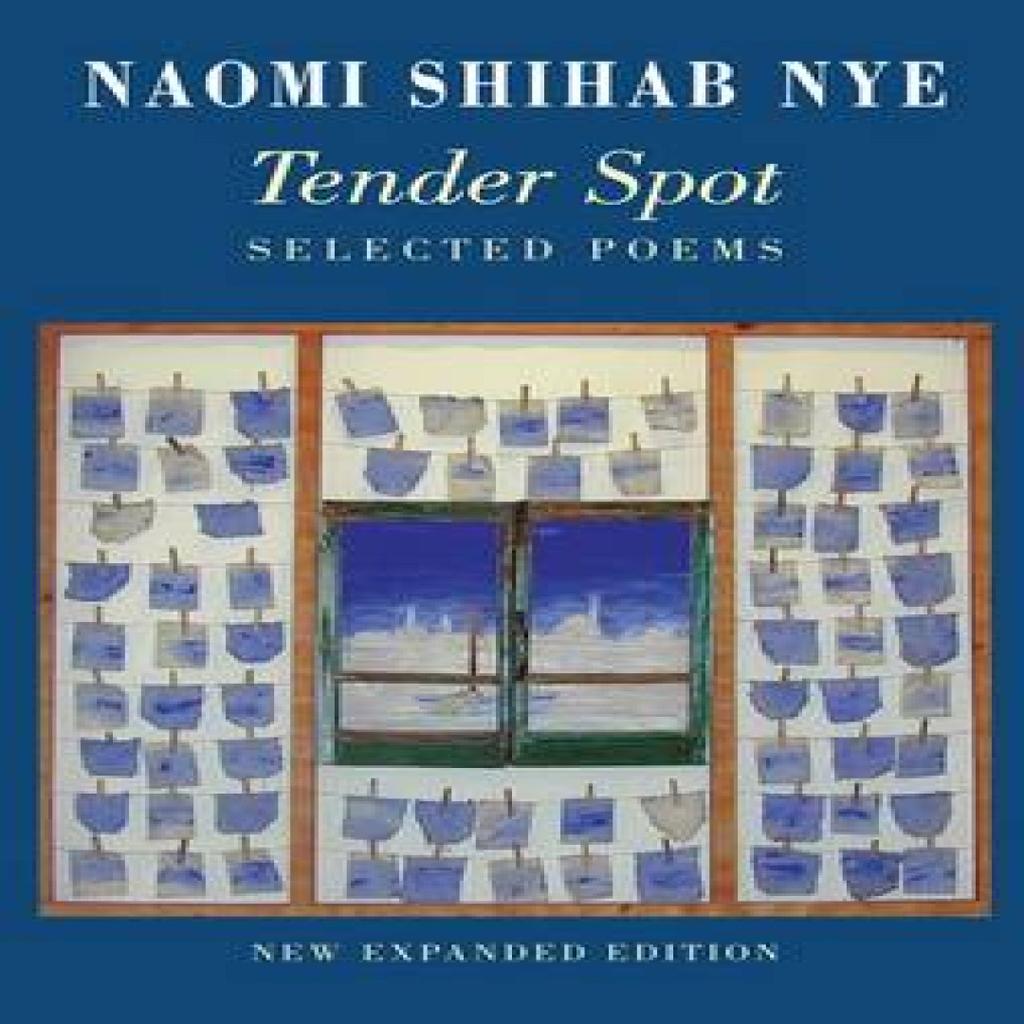 Tender Spot by Naomi Shihab Nye Paperback Book 9781780372808