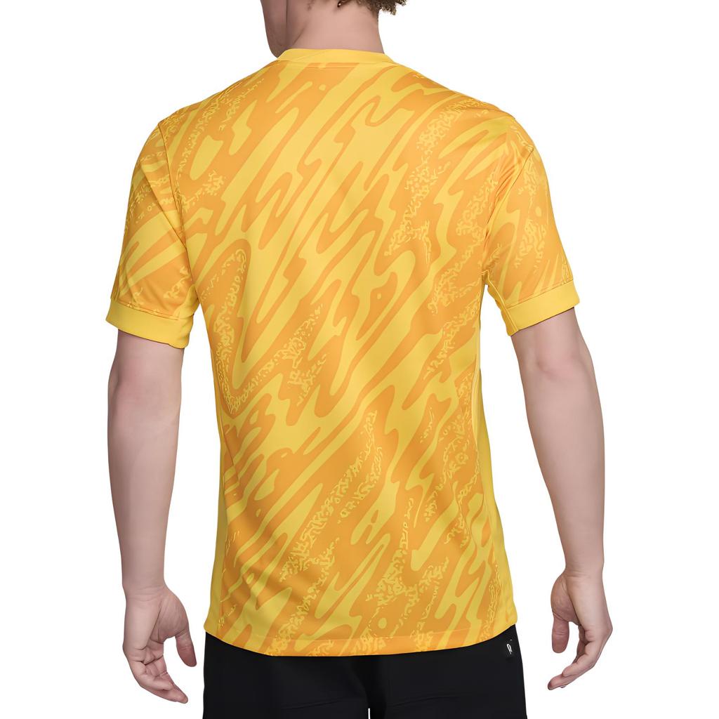 Nike Тоттенхэм Хотспур 2024/25 Стадионный Вратарский Мужской Футболка Replica Nike Dri FIT для Футбола с Коротким Рукавом FN8804-720
