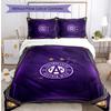 Austria Wien FC Printed 3PCS Bedding Set Breathable Duvet Cover with Pillowcases Decorative Bed Linen for Bedroom Home