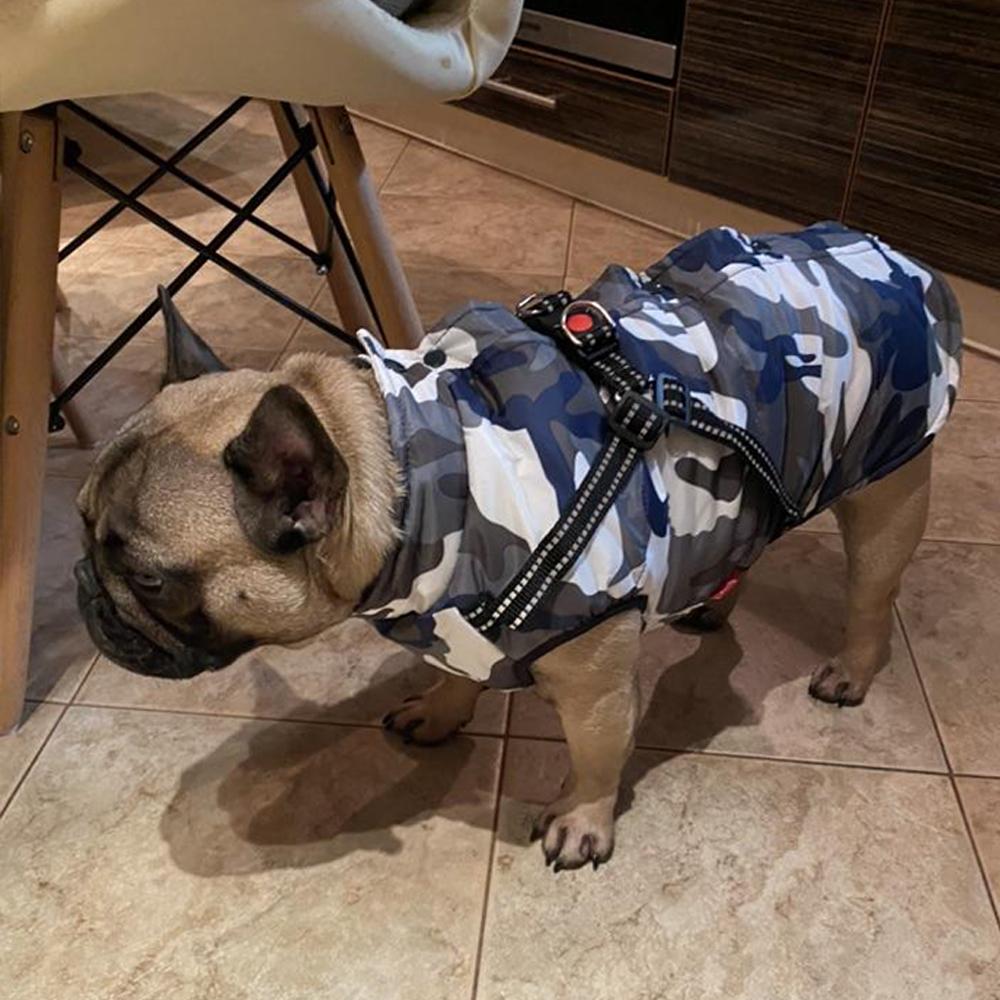 Водонепроницаемая одежда для собак, зимняя теплая одежда для маленьких и средних собак, светоотражающее пальто для щенков, куртка с регулируемой шлейкой, одежда для чихуахуа