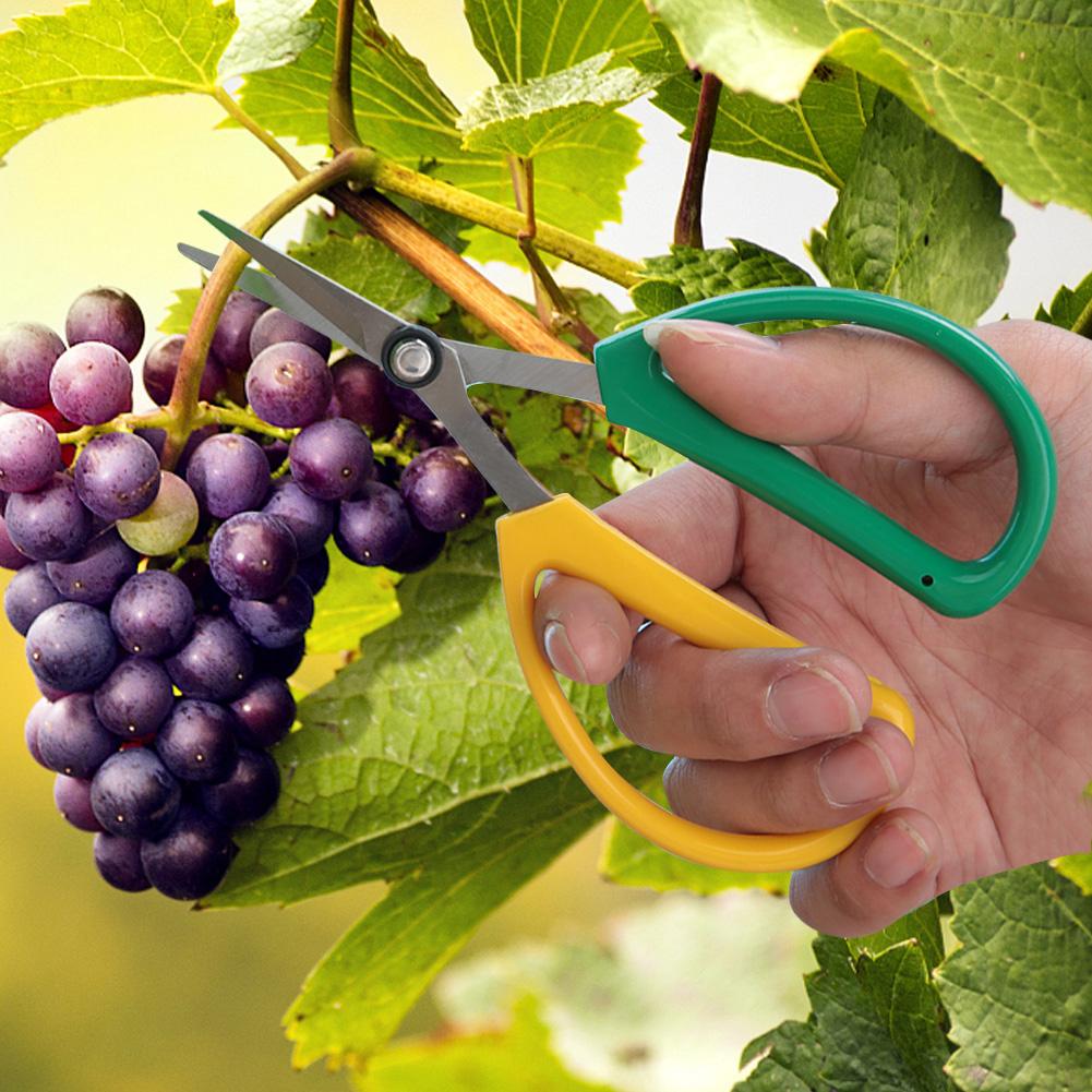 Цветочные ножницы из нержавеющей стали, ножницы для обрезки растений, садовый резак, ручной секатор