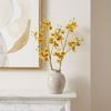 Small Butterfly Orchid Simulation Mini Orchid Real Touch Fake Flower Branch  Gift