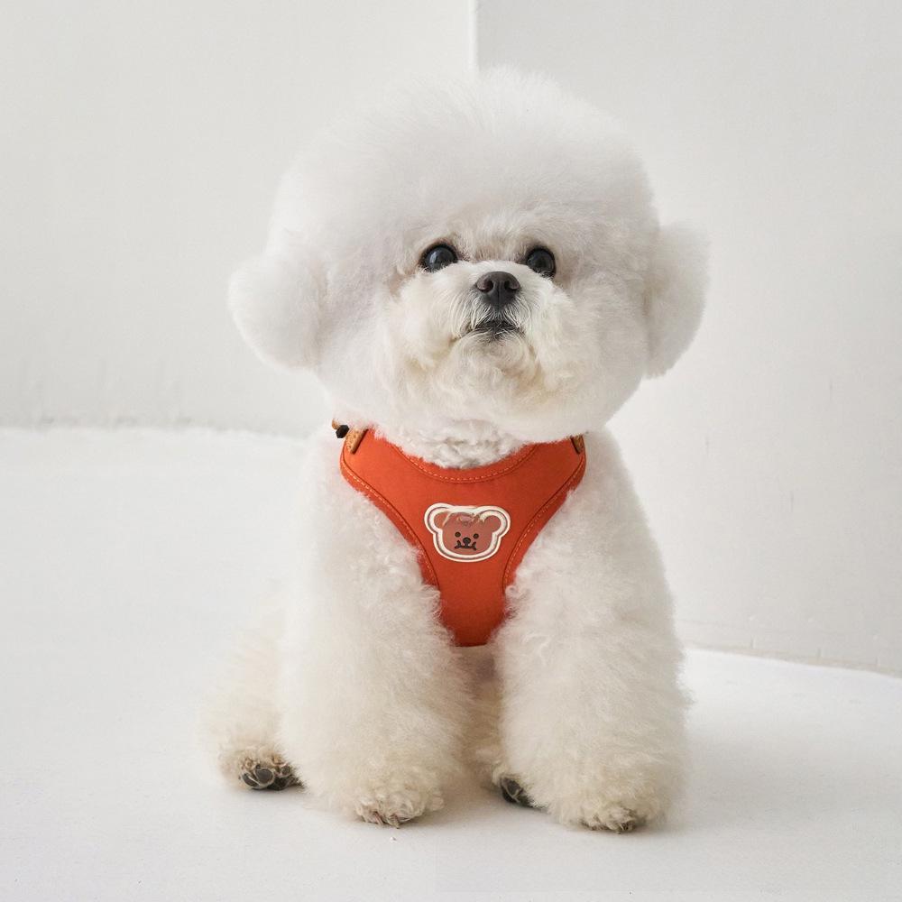 Adjustable Dog Harness and Leash for Small To Medium Breeds, Chest Strap and Chain Set for Teddy Dogs