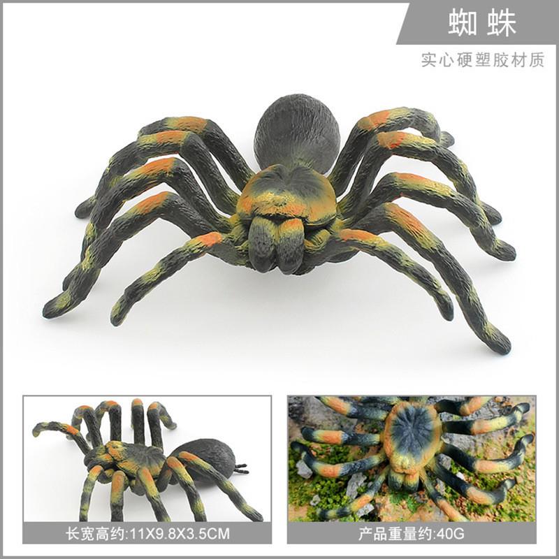 Stunningly Detailed Plastic Insect Models Including Vibrant Peacock Spiders And Striped Fly Spiders Perfect For Learning And Displaying