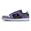 Хейли Уилсон x Dunk Low SB Court Purple Унисекс Кроссовки Белый Черный Lagoon-Pulse HJ0513-500