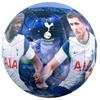 Tottenham Hotspur FC Фотография Футболиста