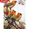 5D DIY Diamond Painting New Arrivals Animal Home Decoration Mosaic Bird Diamond Art