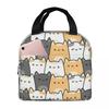 Cute Cat Faces Lunch Bag Box Animal Kittens Children Aluminum Foil Portable Lunchbox
