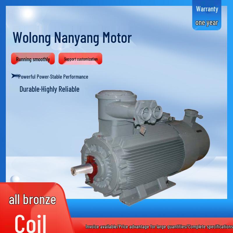 Wolong YBBP Series Explosion-Proof Variable Frequency Asynchronous Motor
