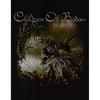 Unisex Хлопковая футболка для взрослых Children Of Bodom с принтом на спине 'Relentless'