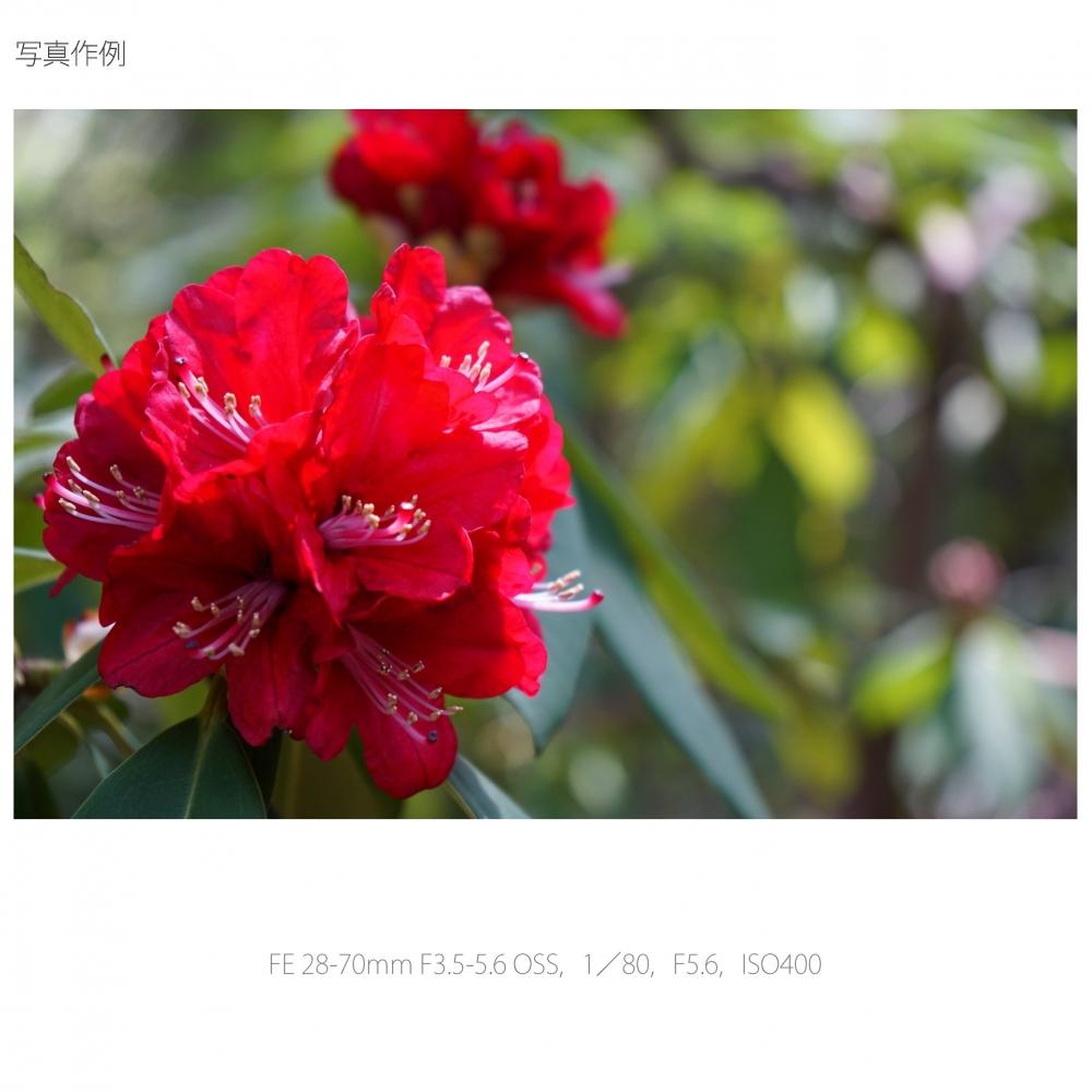 Sony Стандартный зум-объектив FE 28-70 мм F3.5-5.6 OSS, совместимый с полноразмерными камерами