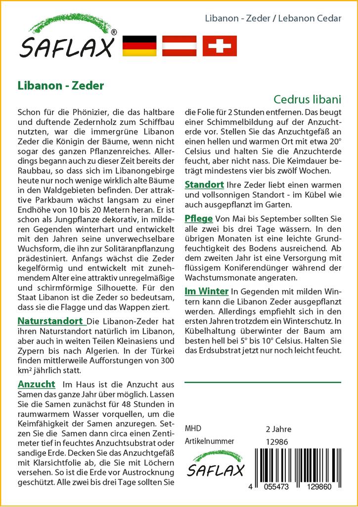 SAFLAX Ливанский кедр - 20 семян - Cedrus libani