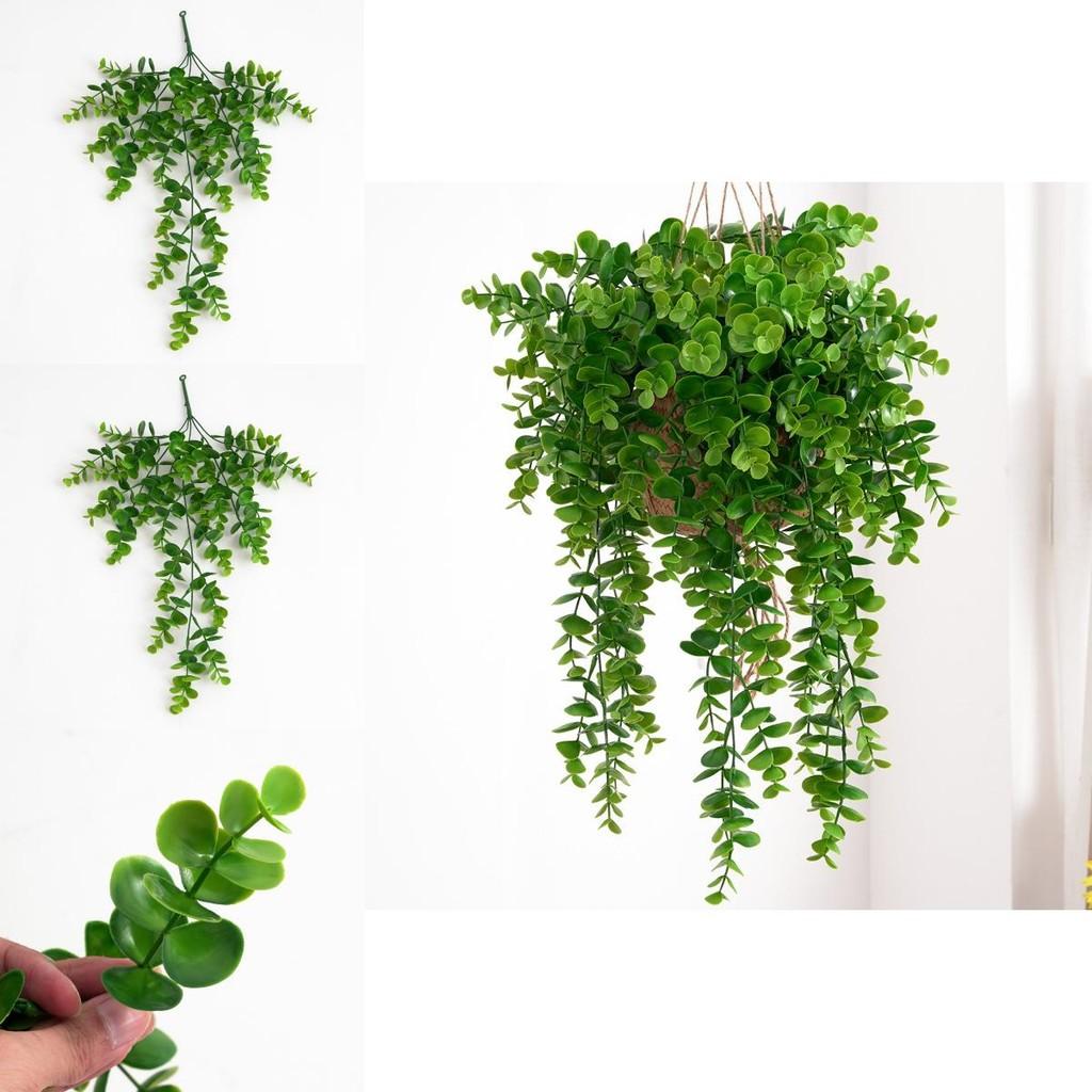 Настенное украшение из искусственного эвкалипта Citriodora с плетением из лозы для домашнего декора и фотосессий