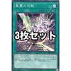 [Set of 3] Yu-Gi-Oh! Cards: Holy Vine Crossbreeding (Japanese Version, Normal) 21PP-JP020