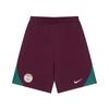 Nike Шорты Paris Saint Germain Psg Шорты Dri Fit Strike
