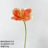 Single Blooming Tulip Simulation Flower 3D Home Decoration Wedding Vase Arrangement Photography Props Table Bedroom Placement