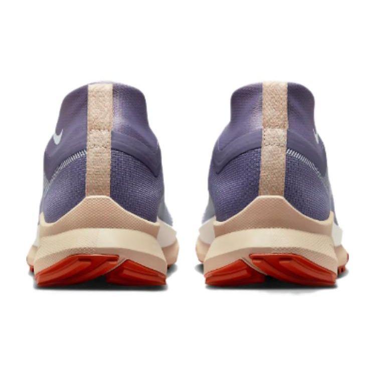 Nike Женские кроссовки для трейлраннинга Pegasus Trail 4 GORE-TEX Daybreak Glacier Blue Sundial White DJ7929-502