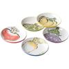 Medium Plate Set Plate X X Kyoto Vegetables Plate Set Porcelain Mino Ware Made In Japan Ale-net W13.5 D13.5 H2.8cm