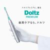 Panasonic EW-DT88-S Doltz Sonic Vibration Toothbrush Silver w Cas JP FS