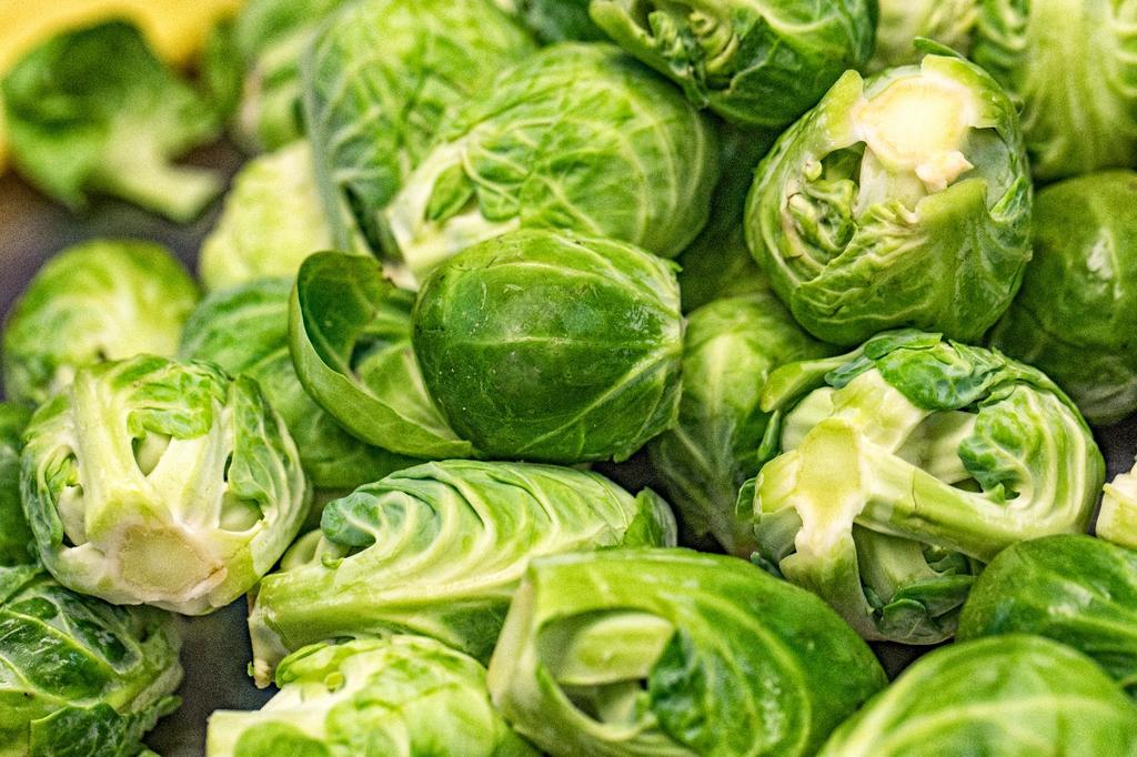 SAFLAX Garden in the Bag - Органический - Брюссельская капуста - Гронингера - 30 семян - С субстратом в подходящем стоячем пакете - Brassica oleracea