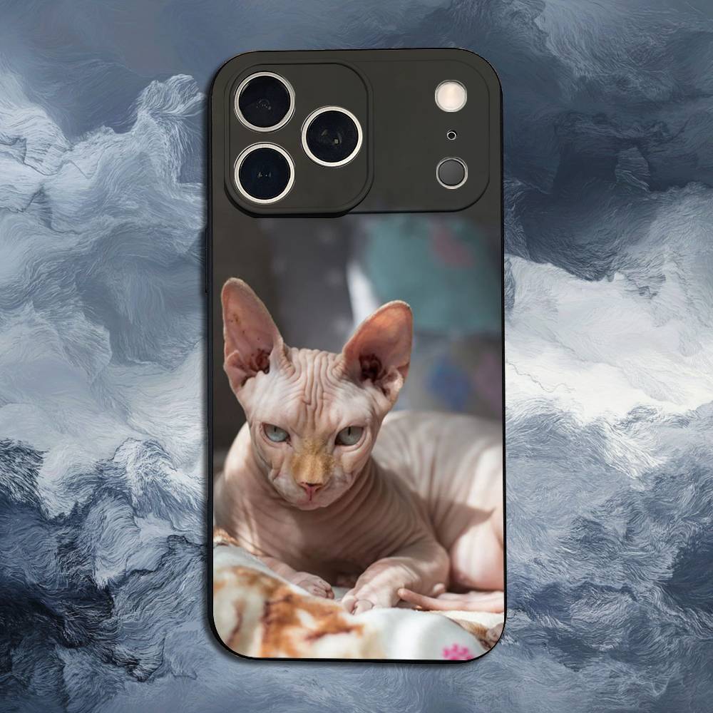 Чехол для iPhone 11,12,15,14,13,16,17,Plus,Pro Max,XS,X,XR,SE,Mini,8,7 с изображением кошки породы Сфинкс, Мягкий силикон, Черный