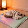 Waterproof Pet Electric Blanket Anti-scratch Thermostat Control Electric Heating Dog Bed Cartoon Pattern Warm