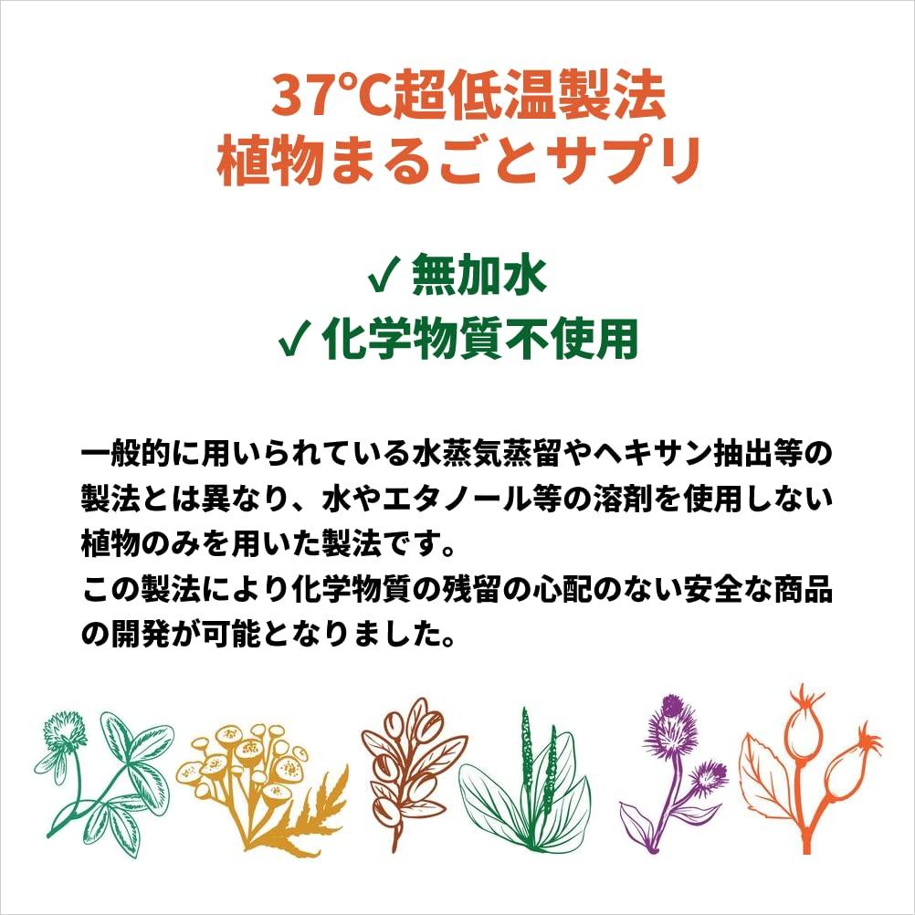 Кофе зеленые бобы хлорогеновая кислота тригонеллин добавка 120 капсул растения 2 без пестицидов без добавок 100% [Набор пакетов]