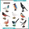 Pvc Bird Magpie Pigeon Model Set With Realistic Design For Nature Decor And Collectors