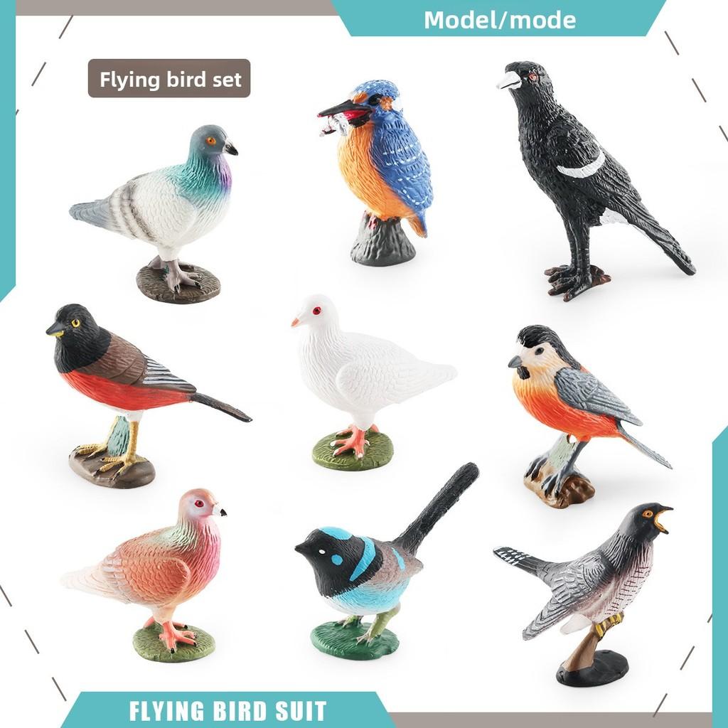 Pvc Bird Magpie Pigeon Model Set With Realistic Design For Nature Decor And Collectors