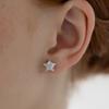 (925 Silver) Shine Star Stud Earrings EC3232