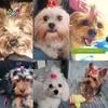 50Pcs Multi-colored Cute Pet Dog Bows Hair Accessories Grooming Puppy Hair Accessories with Rubber Bands Puppy Pet Headwear Beauty Accessories