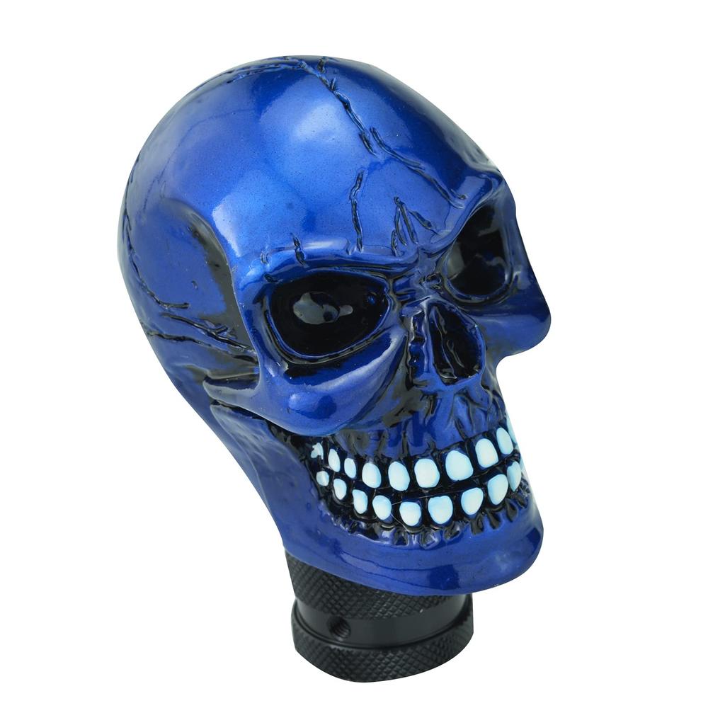 Bashineng Skull Car Shift Knob Gear Stick Head Cute and Fashion Shift Transmission Fits