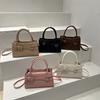 Spring Fashion Handbag Small Carry Bag for Women's New Simple Small Square Bag Versatile One-shoulder Crossbody Bag