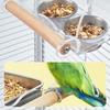 Parrots Food Bowl Acrylic and Sainlessed Steel Parakeet Food Container Anti Spill Design for Home and Bird Enthusiasts