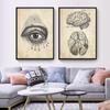 Постеры на скандинавскую тему и принты, настенная живопись на холсте, Анатомия, скелет, винтажные настенные панно для больницы, доктора, офисного декора