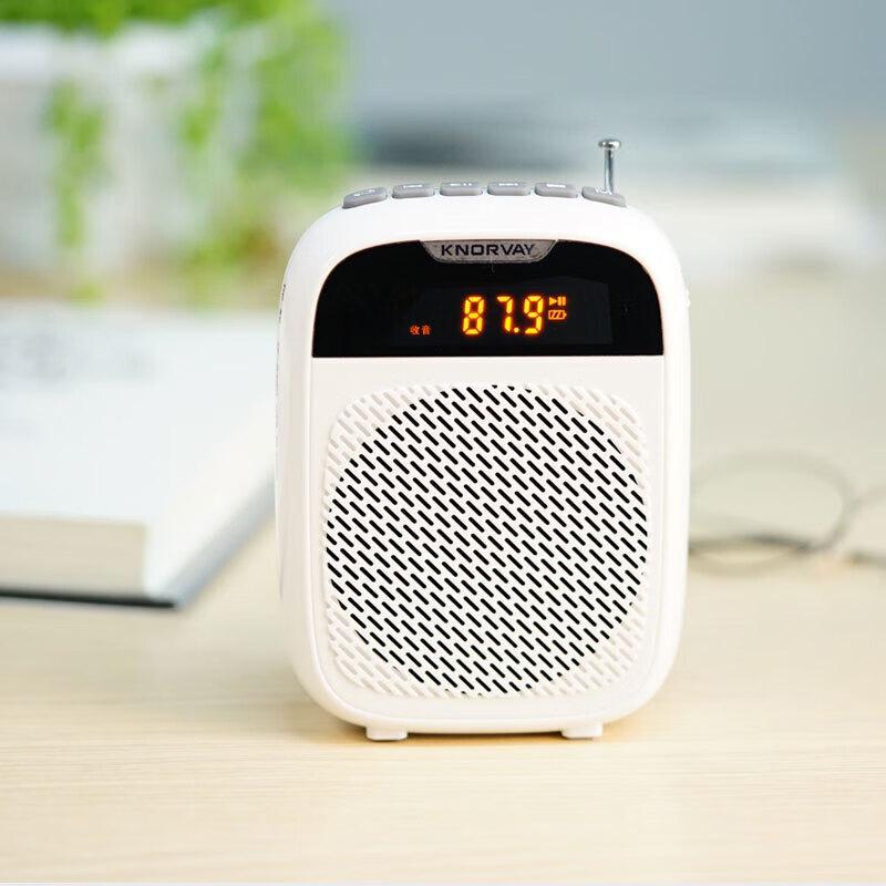 Portable Digital Voice Amplifier