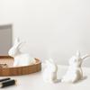 1/3 шт. Украшение в форме кролика, украшение для дома, мини-декоративные фигурки, украшение для рабочего стола, керамическое украшение, милое