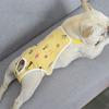 No Pilling Cartoon Printing Dog Diaper Soft Pet Anti-harassment Physiological Pants